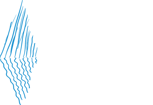 Medora hotel